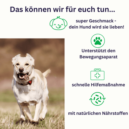 Nova MOTION - Bewegungs-Snacks für Hunde