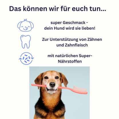 DENTO Nova - Der Zahn Snack für Hunde