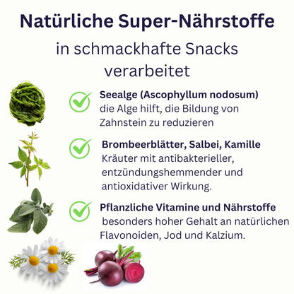 DENTO Nova - Der Zahn Snack für Hunde